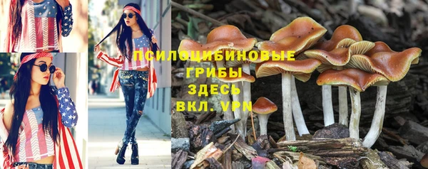 скорость mdpv Гусь-Хрустальный