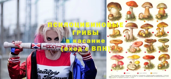 кокс Дмитровск